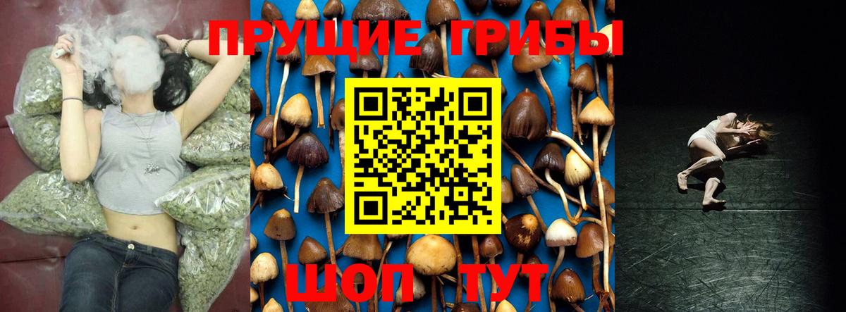 Псилоцибиновые грибы ЛСД Звенигород