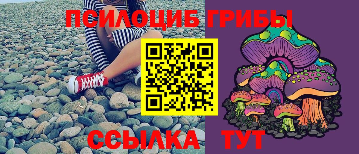 Галлюциногенные грибы мицелий  Псилоцибиновые грибы Psilocybe  Звенигород  Вход с VPN 